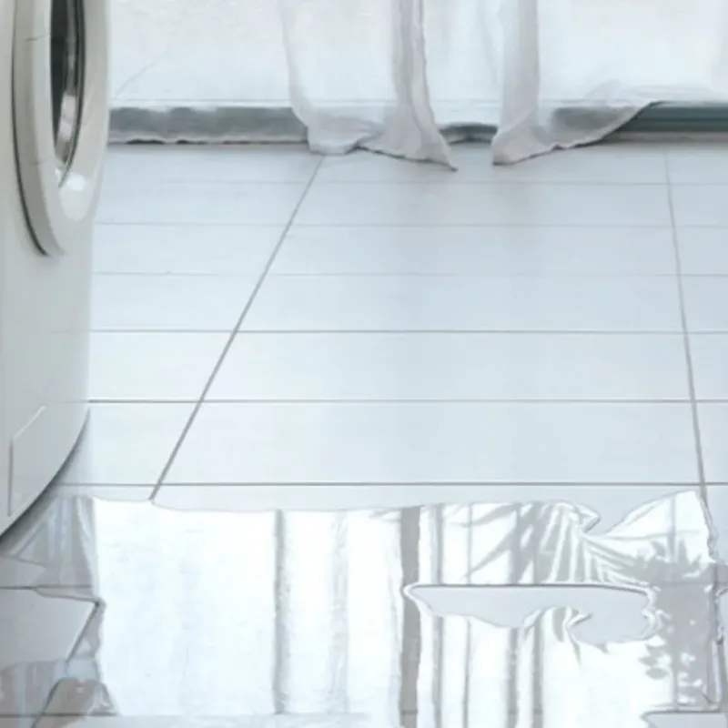 Appliance Leak Cleanup in Lane County, OR
